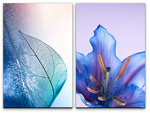 Paul Sinus Art Wandbild 2 teilig je 60x90cm Fotokunst Blume Blüte Blau Blatt Blattstruktur Dekorativ