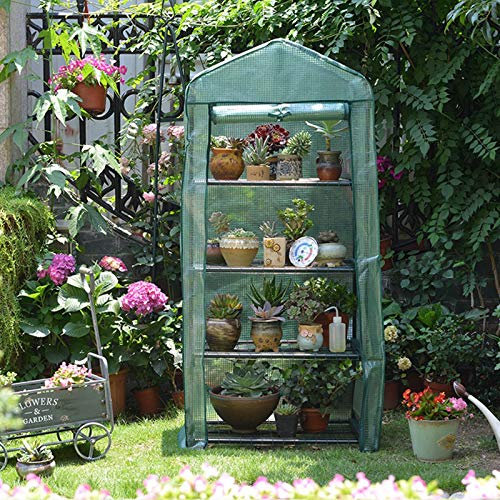 ZHZ-DT Petite Mini Serre de Plantes en Plastique Tente pour Plantes Fleurs Bâche Couverture en Pot de Fleurs | intérieur extérieur Jardin |pour Les semis d'herbes Planteur de Fleurs Tomates Végétales