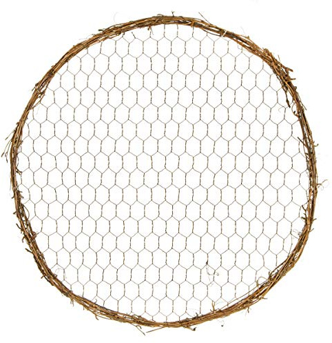 Darice 2815-203 Frame: Grapevine, Round, 14 inches Chicken Wire, Natural