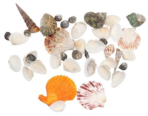 VALICLUD 2sacs Décorations De Coquillages Naturelles pour Aquarium Aménagement Paysager avec Coquillages Décorations Aquarium De Bouteilles Flottantes