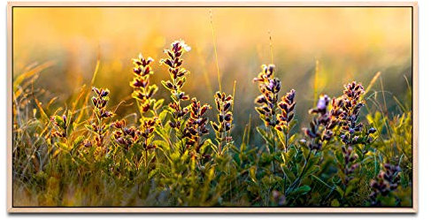 wilde Blumen und Gräser ca. 130x70cm Wandbild inklusive Schattenfugenrahmen naturfarbend - Panorama Leinwand Bild XXL Format Wandbilder Wohnzimmer Wohnung Deko Kunstdrucke