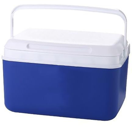 Portable Cooler, Portable Ice Box, Ice Buckets for Parties with Lid, Insulated Ice Bucket, for Camping Picnics Beach Festivals (Size : 9L)