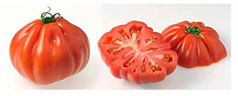 Lot de 50 Graines Potageres - Tomate Coeur de Boeuf rouge fruit legume potager