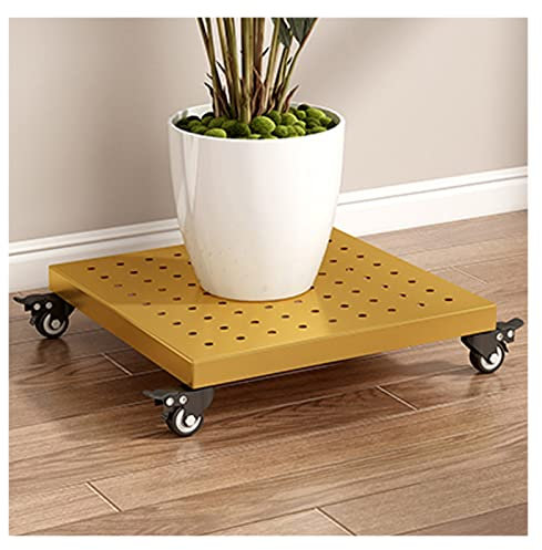 Quadratischer Garten-Pflanzwagen mit rollenden Rädern für drinnen und draußen, robuster Pflanzenroller, quadratischer Pflanzenroller, goldfarben, 50 cm