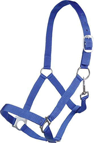 Posten 10978 Brisbane Halfter royalblau Warmblut