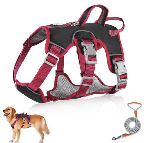 Mehrzweck-Hundegeschirr mit Leine Set, Ausbruchsicheres Anti Zug Hundegeschirr, Anti Zug Geschirr Hund Sicherheitsgeschirr, Hundegeschirre Kleine Hunde für Kleine Mittelgroße Hunde(Schwarz, M)