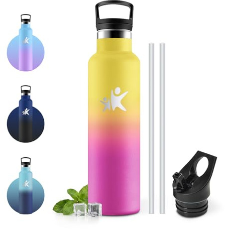 JAPORIA Borraccia Termica 750ml, Borraccia in Acciaio Inossidabile con Cannuccia, senza BPA, senza Perdite, per Ufficio, Sport, Ciclismo, Palestra