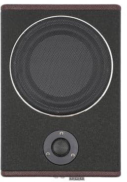 SUBKUDY Altoparlante Compatto in Acciaio Inox Ultra Sottile per Auto, Subwoofer Attivo 12V 600W, Audio Passivo