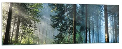 Bilder auf Glas 160x50cm Wandbild Glasdruck Botanik Landschaften - 4398 | Wald Dämmerung Sonne Panorama Groß XXL Modern Dekoration Wohnzimmer Schlafzimmer Küche Wanddeko Kunstdruck Art ARTTOR