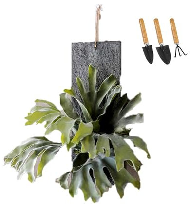 Wandpflanzer aus Holz, künstlicher Geweihfarn, Wanddekoration, Wohnzimmer-Pflanzgefäße, getrocknete Blumen, künstliche Pflanzen, moderne Bauernhaus-Hängevase aus Holz for Wohnzimmer, Schlafzimmer(Smal