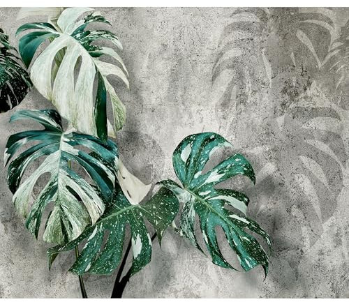 decomonkey Premium Fototapete Pflanzen 350x256 cm Tapete Fototapeten Vlies Tapeten Vliestapete Wandtapete moderne Wand Wandbild Schlafzimmer Wohnzimmer Blätter Monstera