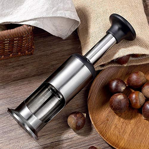WAOCEO Craquelin aux Noix Pince Robuste for Noix de pécan, Filbert, Noix, Noisettes, Casse-Noisette, Pince décortiqueuse, Fissure, Amande, Pince de Cuisine, Machine à Outils Ouvre-coquilles de Noix