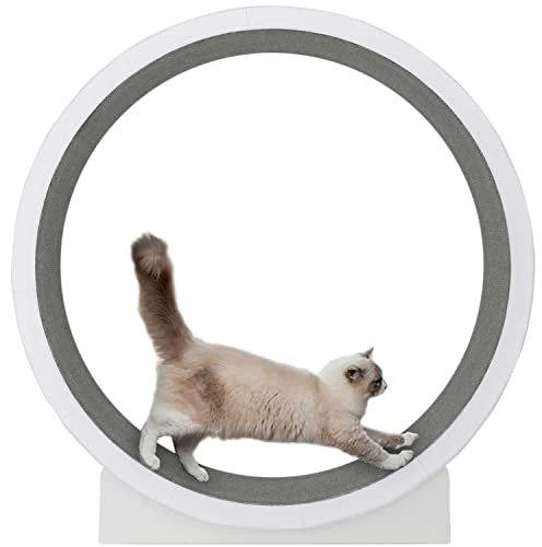 UIBAO Katzenlaufrad Interaktives Katzenspielzeug Katzenlaufband mit No-Gap-Design,Laufrad für Wohnungskatzen,Sicherheits-Klemmschutz Leises Katzenlaufrad - Gerät zum Abnehmen für Katzen
