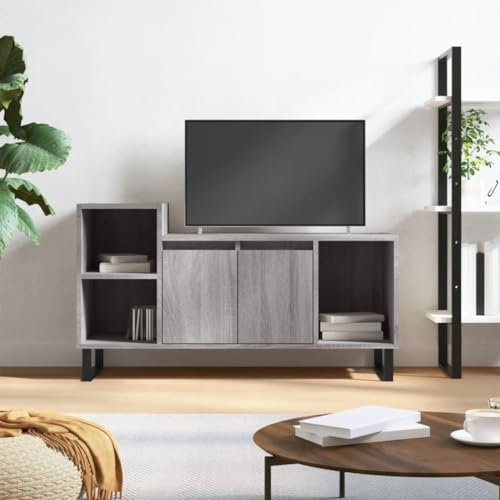 TJROO TV-Schrank, Sonoma-Grau, 100 x 35 x 55 cm, aus mehrschichtigem Holz und Metall, Vitrine mit Türen, TV-Schrank, Konsole
