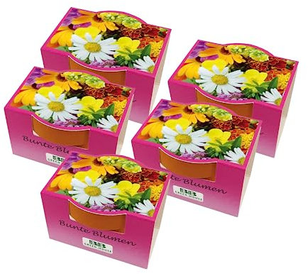Bull & Bear 5er Set Minipflanzset Bunte Blumen, Blumensamen im Topf 40mm, Mini Blumen als Anzuchtset mit Pflegeanleitung