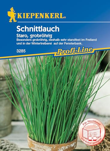 Kiepenkerl Profi-Line Schnittlauchsamen Staro 3285 - Besonders grobröhrig - standfest im Freiland und in der Wintertreiberei auf der Fensterbank - Wuchshöhe 20-30 cm - Kräutersamen