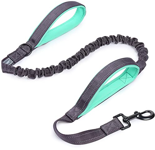 VIVAGLORY Bungee Leine Hund Pullsafe Hundeleine, 120 x 2.5cm, Grau | Führleine Hundeleine mit Doppelgriff & Zwei Griffen für Hausleine Joggingleine, Bungee & Stark Ziehende für Hunde