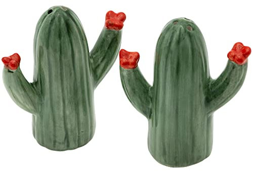 Boston International Salero y pimentero Everyday Ceramic Serveware, juego de 2, cactus Bloom