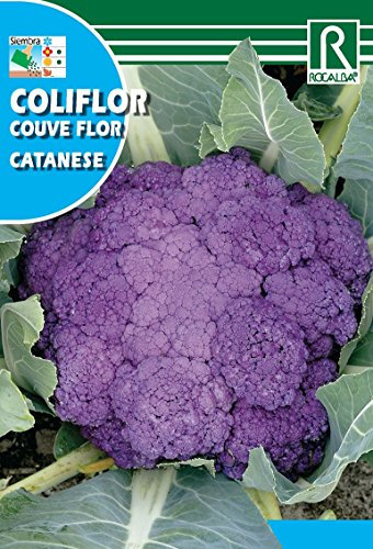 Semilla Coliflor Catanese - Rocalba
