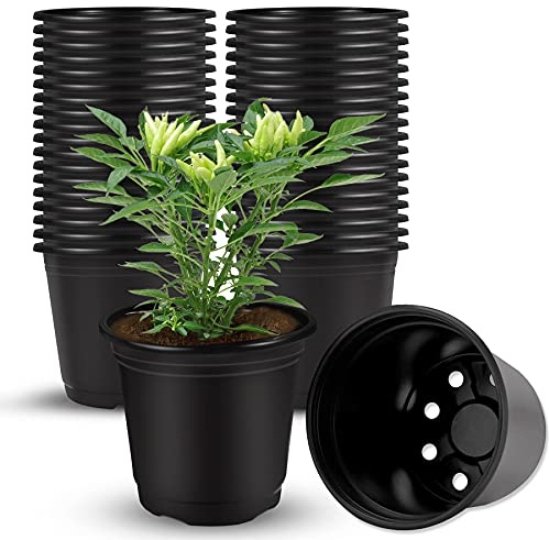 Augshy Plastik Blumentöpfe, 40 Stück 10cm Garten Pflanztöpfe Kunststoff Anzuchttöpfe für Sukkulenten Setzlinge Stecklinge Umpflanzen(Schwarz)