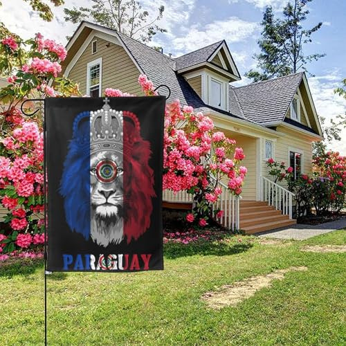 Bandera paraguaya de león de doble cara, 28 x 40 pulgadas, decoración para exteriores