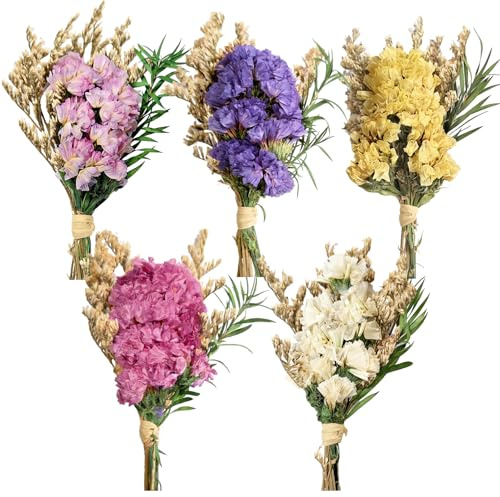 5 Ramos de Mini Flores secas: Ramo de Flores secas Naturales prensadas, nomeolvides Multicolor para jarrones pequeños
