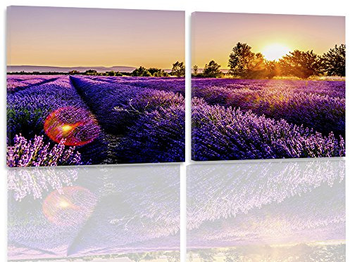 Feeby. Leinwandbild Bilder Wand Bild - 2 Teile - 200x100cm, quadratische Form Wandbilder Kunstdruck, WIESE, LAVENDEL, NATUR, VIOLETT