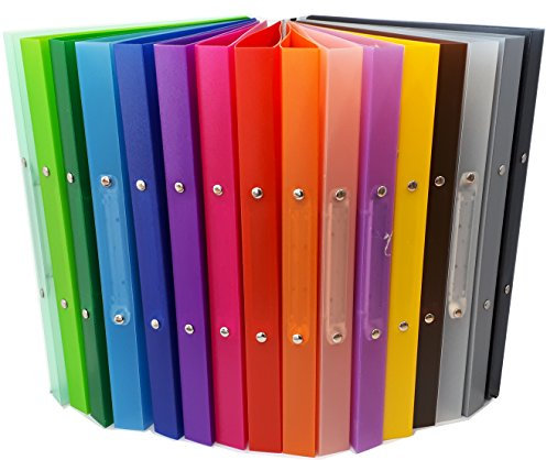 Brunnen 16 x Ringbuch Fact! A4 16mm 2 Ringe 1065516 farbig sortiert