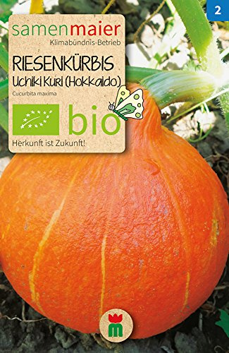 BIO Kürbis Uchiki Kuri (Hokkaido) Samen - Leuchtend orange Früchte mit süßlichem Aroma - Samenfest und essbare Schale - Anbau ab April - Inhalt reicht für ca. 5 Pflanzen - Samen Maier