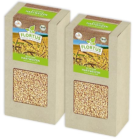 FLORTUS BIO Hartweizen Getreide Samen 400g | Weizen zur Herstellung von Weizenkleie Nudeln Couscous Smoothie Katzengras & Microgreens | Sprossen Samen