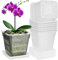 IWTTWY 8 vasi per orchidee trasparenti, 15 cm, in plastica con foro di drenaggio e vassoio, per piante per piante per orchidee, giglio della pace, piante di serpente (quadrato trasparente)