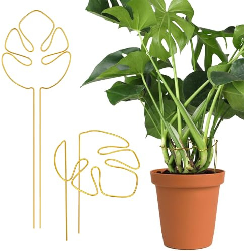 Chingcoo 2 supporti per piante, supporto per piante rampicanti, supporto per piante perenni, supporto multiuso per monstera, alocasia, supporto decorativo