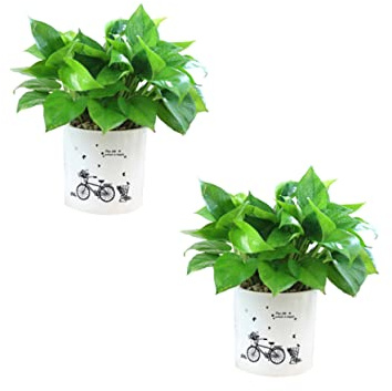 POPETPOP 2pièces Pot De Fleurs Autonome Plastique Pot De Jardinage Créatif avec Système Arrosage Automatique Support De Plantes avec Récupérateur Eau