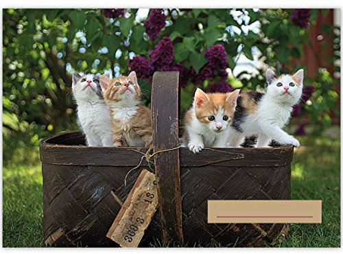 1 Tier A3 Kinder Malblock Motiv Katzen Korb • Zeichenblock Skizzen-Block 25 Blatt weiß, kopfverleimt, holzfreies Qualitäts-Papier 100g/m²- für Schule, Basteln, Hobby