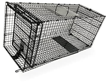 Humane Way Folding 42 Inch Live Humane Animal Trap - Safe Traps for All Animals - Dogs, Raccoons, Cats, Groundhogs, Opossums, Coyote, Bobcat - 42x16x18