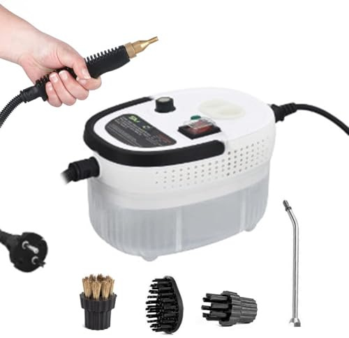 Pulitore a vapore da 2500 W per la pulizia dell'auto domestica Riscaldamento rapido Rondella a vapore ad alta temperatura Macchina portatile per la pulizia a vapore pressurizzata portatile