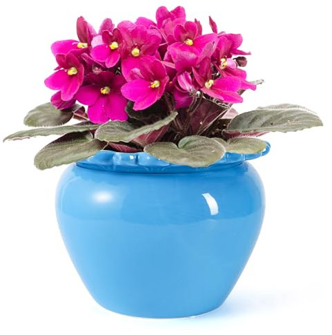 Große afrikanische Veilchen-Töpfe, 21,6 x 16,3 cm, blaue Keramik, einfache Selbstbewässerung, Keramik-Blumentopf mit wasserabsorbierendem Innentopf, Orchideen-Pflanzgefäß, Rasen, Hof, Außendekoration