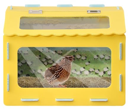 Terrarium för reptiler – liten husdjursbur med klar betraktningspanel – 40 x 30 x 30 cm ödla terrarium – för landskap orm igelkott hamster kyckling sköldpadda
