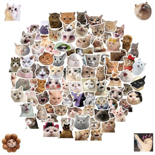 100 Stück Lustiges, lustiges Katze-Aufkleber-Set, niedliche Katze-Aufkleber, wasserfeste Vinyl-Aufkleber, ästhetische Aufkleber für Katzenliebhaber (Katzeform)
