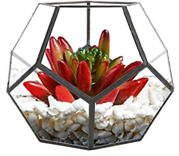 Maceta Decoracion de Alfeizar de Ventana Envase Terrario para Plantas de Terrario Geometrico Pentagono de Vidrio Negro Jardinera de Balcon Caja de Presentacion DIY