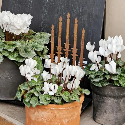 ciclamino ciclamino semi di resistenti rare, decorazione soggiorno da giardino, appartamento balcone, 100pcs