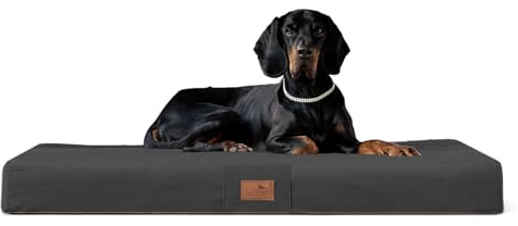 tierlando® Orthopädische Hundematratze Floki Visco Plus aus High-Tech Velours mit Schmutz- und wasserabweisendem Bezug, Größe: 150x100cm Farbe: 02 Graphit
