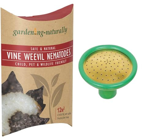 Vine Weevil Nematode - 12 sq.m with Coarse Watering Can Rose