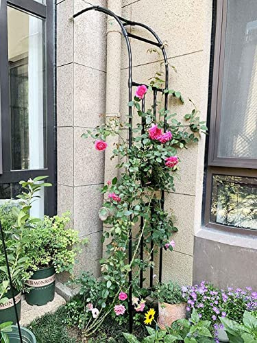 Halber Gartenbogen, Rosenbogen Aus Metall Für Kletterpflanzen, Halbbogen, Breite 120 cm, 150 cm, 180 cm, 210 cm, 240 cm,Wetterfestes Torbogen Rankhilfe Rankgitter,Schwarz,60 * 240cm
