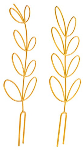 Happyyami 2stücke Pflanzstützen Für Kletterpflanzen Tomatenkäfige Für Garten Und Balkon Unterstützung Von Und Blumen Langlebig Und