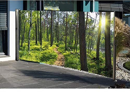HTI-Living Seitenmarkise mit Fotodruck Wald Seitenmarkise mit Fotodruck Wald Windschutz