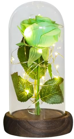 Ymnilian Glass Rose, Forever Rose Gifts For Her Eternal Rose In Glass Dome Artificial Forever Flower Light Mothers Day For Women(Green flower)