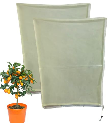 Genérico Cubiertas para Plantas,2 Piezas Manta Transparente Tejido con Cordón - 100 X 120 Cm Protección Invernal para Plantas - para Rosal Arbusto Árbol Césped Hortaliza Fruta