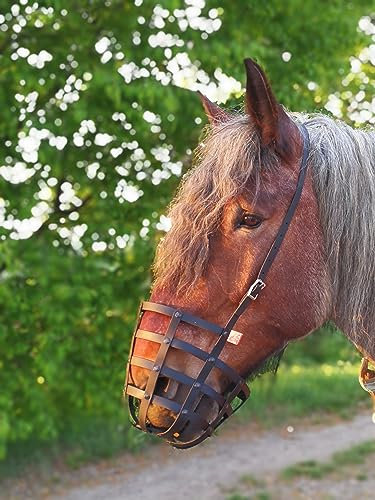 Heavy Horse Parts Fressbremse Strong Extra (ohne Keilriehmen mit EXTRA stabilen Bodenplatte, Pony)