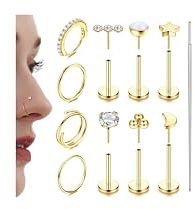 Adramata Nasenpiercing Chirurgenstahl Nasenring Nasenstecker Hypoallergen Helix Piercings Gewindeloses Einstecken Lippenpiercing Medusa Labret Piercing Ring Conch Tragus Piercing Ohr Gold/Silber